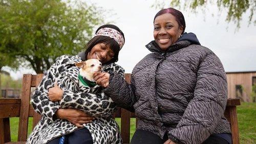 The Dog House Season 7 Episode 1 - Episode 1