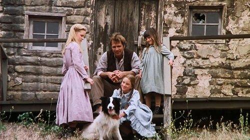 Little House on the Prairie Season 4 Episode 4 - The Handyman