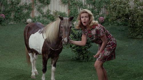 Bewitched Season 4 Episode 13 - Solid Gold Mother-in-Law