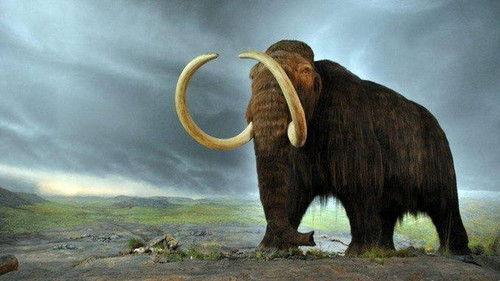 Science grand format Season 8 Episode 11 - Episode 11