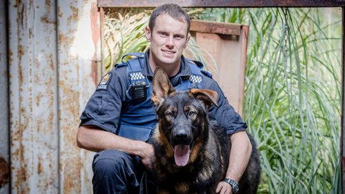 Dog Squad Puppy School Season 4 Episode 2 - Episode 2