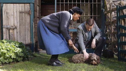 All Creatures Great & Small Season 6 Episode 2 - Old Dog, New Tricks