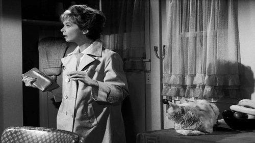 The Fugitive Season 2 Episode 17 - The End is But the Beginning