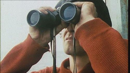 Tulipan Season 1 Episode 1 - Episode 1