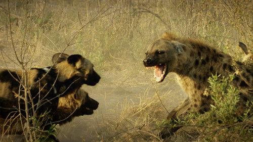 Savage Kingdom Season 1 Episode 3 - Big Game of Thrones