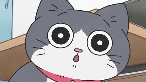 Cat Uncle: The Guy That Got Reincarnated As a Cat Season 1 Episode 13 - Episode 13