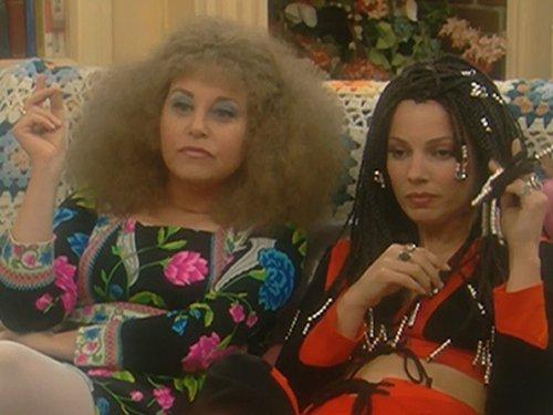 The Nanny Season 3 Episode 12 - The Kibbutz