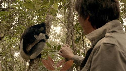 Wonders of Life Season 1 Episode 3 - Endless Forms Most Beautiful