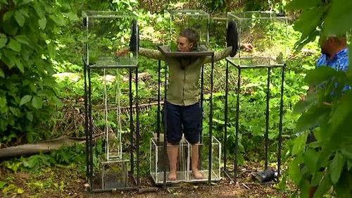 I'm a Celebrity: Get Me Out of Here! Season 2 Episode 10 - Episode 10
