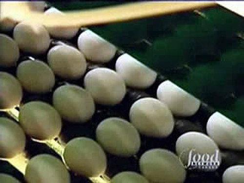 Good Eats Season 1 Episode 3 - The Egg-Files