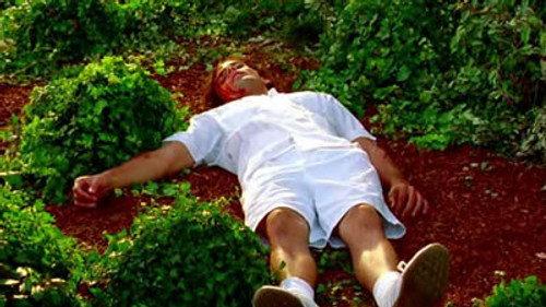 CSI: Miami Season 4 Episode 5 - Three-Way