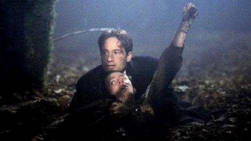 The X-Files Season 5 Episode 9 - Schizogeny