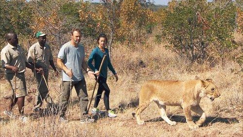 The Amazing Race Season 27 Episode 5 - King of the Jungle