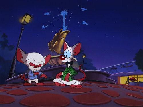 undefined Season 3 Episode 40 - Brain's Night Off