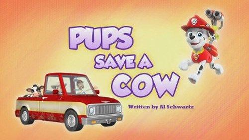 PAW Patrol Season 6 Episode 6 - Pups Save a Cow