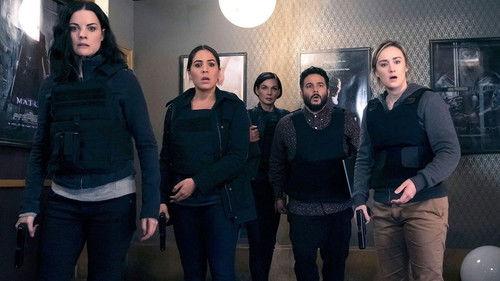 Blindspot Season 5 Episode 10 - Love You to Bits and Bytes