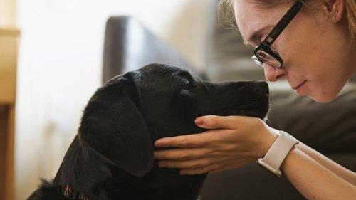 Pick of the Litter Season 1 Episode 6 - Together at Last