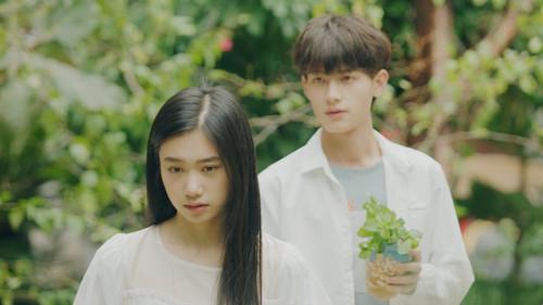 Summer Again Season 1 Episode 12 - Episode 12