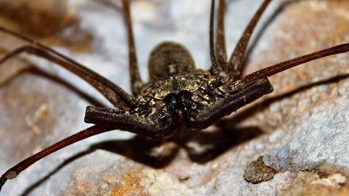 Little Giants Season 1 Episode 3 - Episode 3