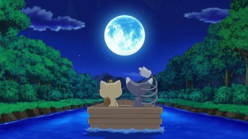Pokémon Season 13 Episode 21 - For the Love of Meowth!