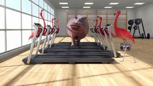 Athleticus Season 1 Episode 20 - Episode 20