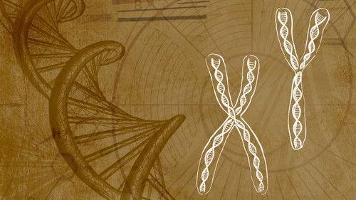 Background image for Quantum Perceptions of Matter