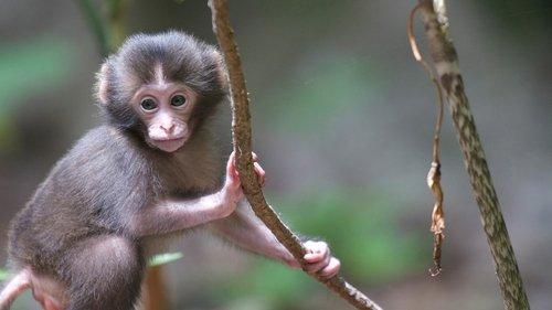 Japan: Earth's Enchanted Islands Season 1 Episode 2 - The Southwest Islands