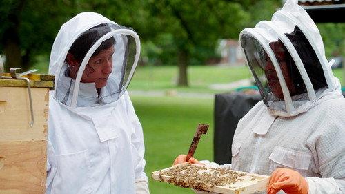 Ask This Old House Season 23 Episode 13 - Beehives 101, Step Stool