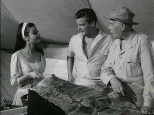 The Saint Season 2 Episode 24 - Sophia