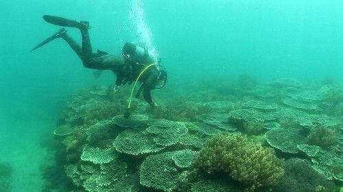 Background image for Nanyo, Ehime: Water for Life and Fun