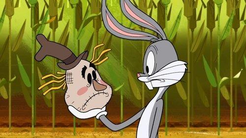 New Looney Tunes Season 1 Episode 24 - Scarecrow