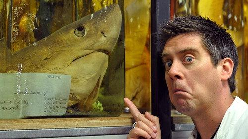 Absolute Genius with Dick and Dom Season 2 Episode 7 - Darwin