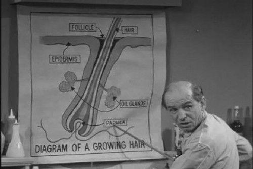 undefined Season 3 Episode 31 - I'd Rather Be Bald Than Have No Head at All