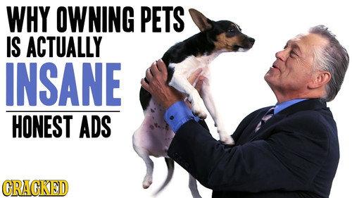 Honest Ads Season 2 Episode 8 - The Bizarre Unspoken Truth About Pet Ownership