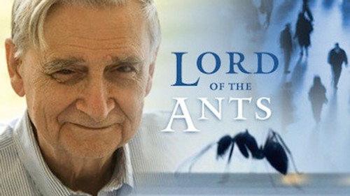 NOVA Season 35 Episode 17 - Lord of the Ants