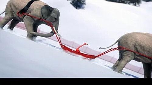 Athleticus Season 2 Episode 18 - Episode 18