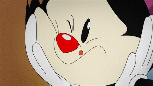 Animaniacs Season 1 Episode 37 - A Zit!