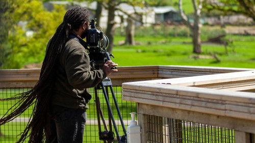 Animal Park Season 25 Episode 6 - Episode 6