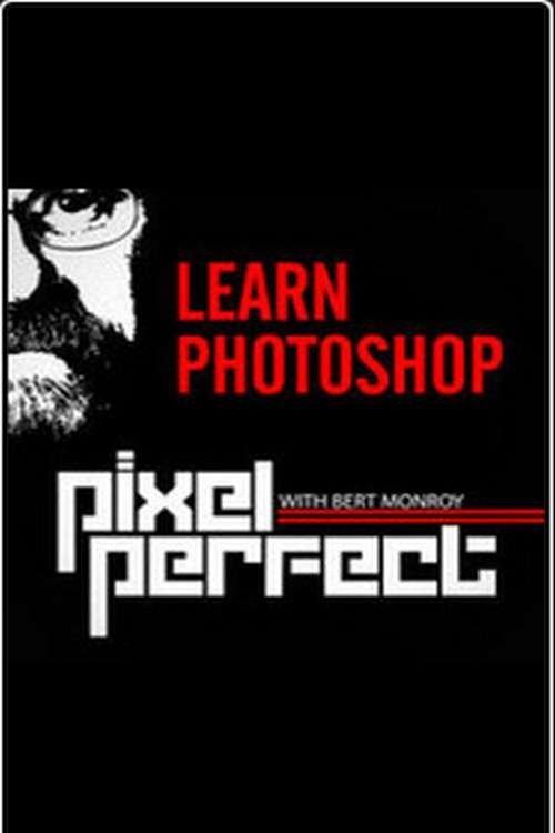 Pixel Perfect poster