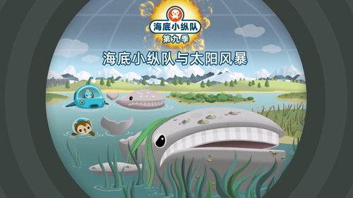 Octonauts Season 9 Episode 19 - Episode 19