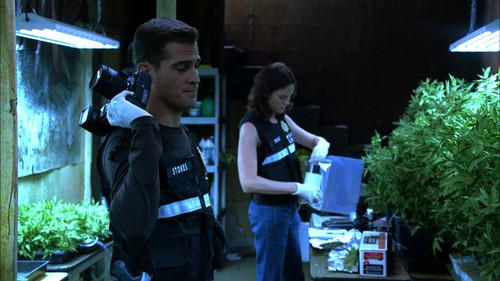 CSI: Crime Scene Investigation Season 6 Episode 5 - Gum Drops