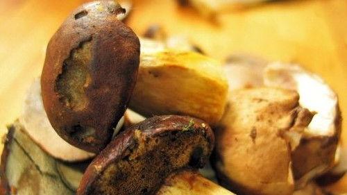 Kluci v akci Season 1 Episode 3 - Episode 3