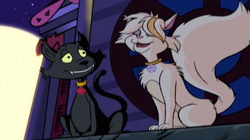 Sabrina: The Animated Series Season 1 Episode 4 - Tail of Two Kitties
