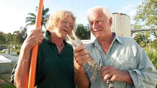 Croc College Season 1 Episode 1 - Episode 1