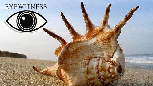 Eyewitness Season 2 Episode 9 - Seashore