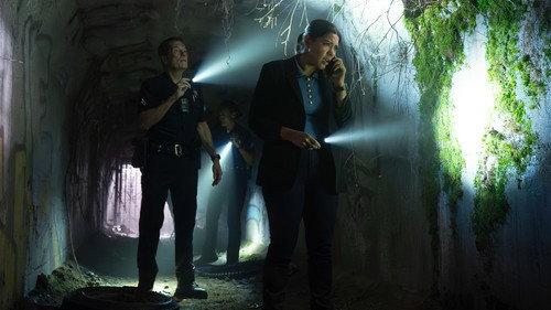 undefined Season 8 Episode 14 - Tiger Bear