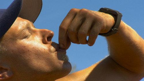 Bushwhacked! Season 1 Episode 5 - Honey Ant