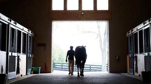 The New York Times Presents Season 3 Episode 2 - Broken Horses