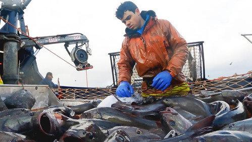 Deadliest Catch Season 19 Episode 7 - Cold Hard World