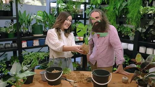 Gardening Australia Season 32 Episode 21 - Episode 21 DIY Potting Bench and Kokedamas